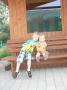 gal/2013/04 Letkov/_thb_P1140977.JPG